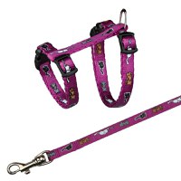 Lesa 1.2 m si Ham 21-34 cm/8 mm Pisici 4144 - 1