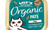 Lily's Kitchen, Adult Organic Fish Pate, 85 g