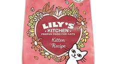 Lily's Kitchen Curious Kitten Chicken and Healthy Herbs Dry Food 800g