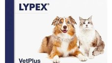 Lypex, 60 capsule