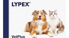 Lypex, 60 capsule