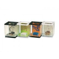 Marina Betta Kit - 1