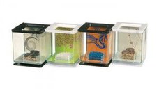 Marina Betta Kit