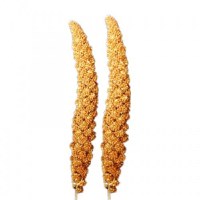 Mei Chinezesc Blister (2 buc/ set) - 1