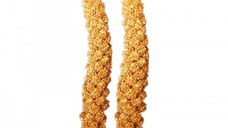 Mei Chinezesc Blister (2 buc/ set)