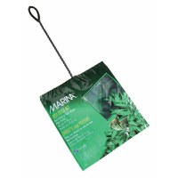 MINCIOC VERDE 12 cm - 1