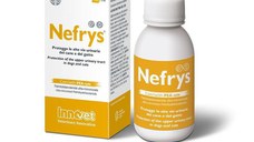 Nefrys, 100 ml