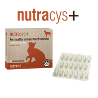 Nutravet Nutracys+, Caini & Pisici, 20 capsule - 1