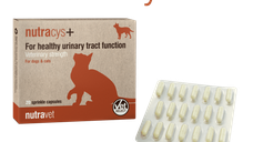 Nutravet Nutracys+, Caini & Pisici, 20 capsule