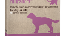 Nutravet Nutraflora, 12 comprimate