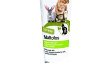 Pasta cu malt pentru pisici, Camon, 100 g