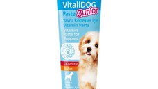 Pasta cu vitamine pentru puii de caine, Bio PetActive Vitali Dog Junior, 100 ml