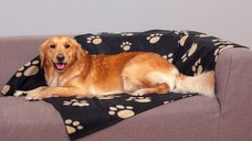 Patura Barney 150x100 cm Negru 37182