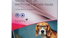 Pipete antiparazitare caini, Zeronil, 134 mg  10 - 20 kg 6 pipete