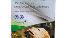 Pipete antiparazitare caini, Zeronil, 268 mg 20 - 40 kg 6 pipete