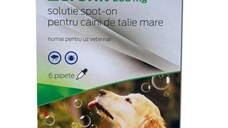 Pipete antiparazitare caini, Zeronil, 268 mg 20 - 40 kg 6 pipete