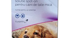 Pipete antiparazitare caini, Zeronil, 67 mg 2 - 10 kg 6 pipete