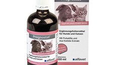 Pregnosta Alfavet 100 ml - Suport Ortomolecular pentru Glande Mamare si Uter
