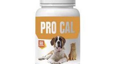 PRO-CAL, Pasteur, 60 comprimate