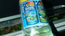 Punga transport pesti - L