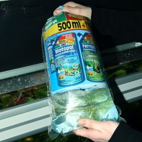 Punga transport pesti - L - 1