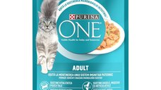 PURINA ONE ADULT, mini fileuri cu Pui si Fasole Verde in sos, 85 g