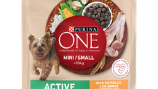 PURINA ONE MINI Active, Pui si Orez, hrana uscata pentru caini, 800 g