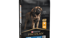 PURINA PRO PLAN ADULT Everyday Nutrition, Talie Mare Robustă, Pui, 14 kg