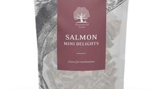 Recompense caini, Essential Mini Delights Somon, 100 g
