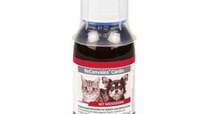 ReConvales Cardio, 90 ml