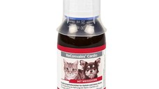 ReConvales Cardio, 90 ml