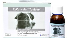Reconvales Tonic Caini, Alfavet, 90 ml