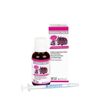 Rodicare Vita B, 25 ml - 1