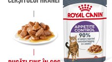 Royal Canin Appetite Control, hrana umeda pisica sterilizata, reglarea apetitului (in sos), 12 x 85 g
