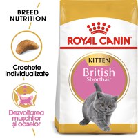 Royal Canin British Shorthair Kitten hrana uscata pisica junior, 10 kg - 1