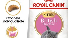 Royal Canin British Shorthair Kitten hrana uscata pisica junior, 400 g