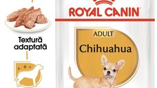 Royal Canin Chihuahua Adult hrana umeda caine (pate), 85 g