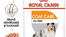 Royal Canin Coat Care Adult hrana umeda caine, blana sanatoasa si lucioasa (pate), 12 x 85 g