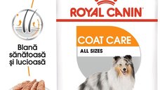 Royal Canin Coat Care Adult hrana umeda caine, blana sanatoasa si lucioasa (pate), 85 g