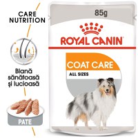Royal Canin Coat Care Adult hrana umeda caine, blana sanatoasa si lucioasa (pate), 85 g - 1