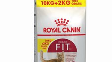 Royal Canin Fit32 Adult hrana uscata pisica, activitate fizica moderata, 10+2 kg
