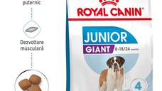 Royal Canin Giant Junior hrana uscata caine junior etapa 2 de crestere