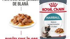 Royal Canin Hairball Care Adult hrana umeda pisica, limitarea ghemurilor de blana (in sos), 12 x 85 g