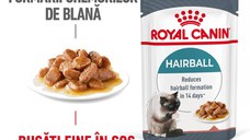 Royal Canin Hairball Care Adult hrana umeda pisica, limitarea ghemurilor de blana (in sos), 85 g
