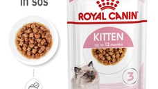 Royal Canin Kitten hrana umeda pisica (in sos), 85 g