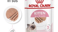 Royal Canin Kitten hrana umeda pisica (pate), 12 x 85 g