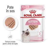 Royal Canin Kitten hrana umeda pisica (pate), 12 x 85 g - 1