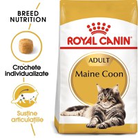 Royal Canin Maine Coon Adult hrana uscata pisica, 4 kg - 1