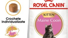 Royal Canin Maine Coon Kitten hrana uscata pisica junior, 10 kg