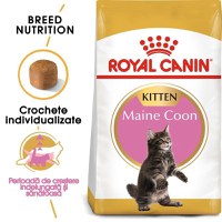 Royal Canin Maine Coon Kitten hrana uscata pisica junior - 1
